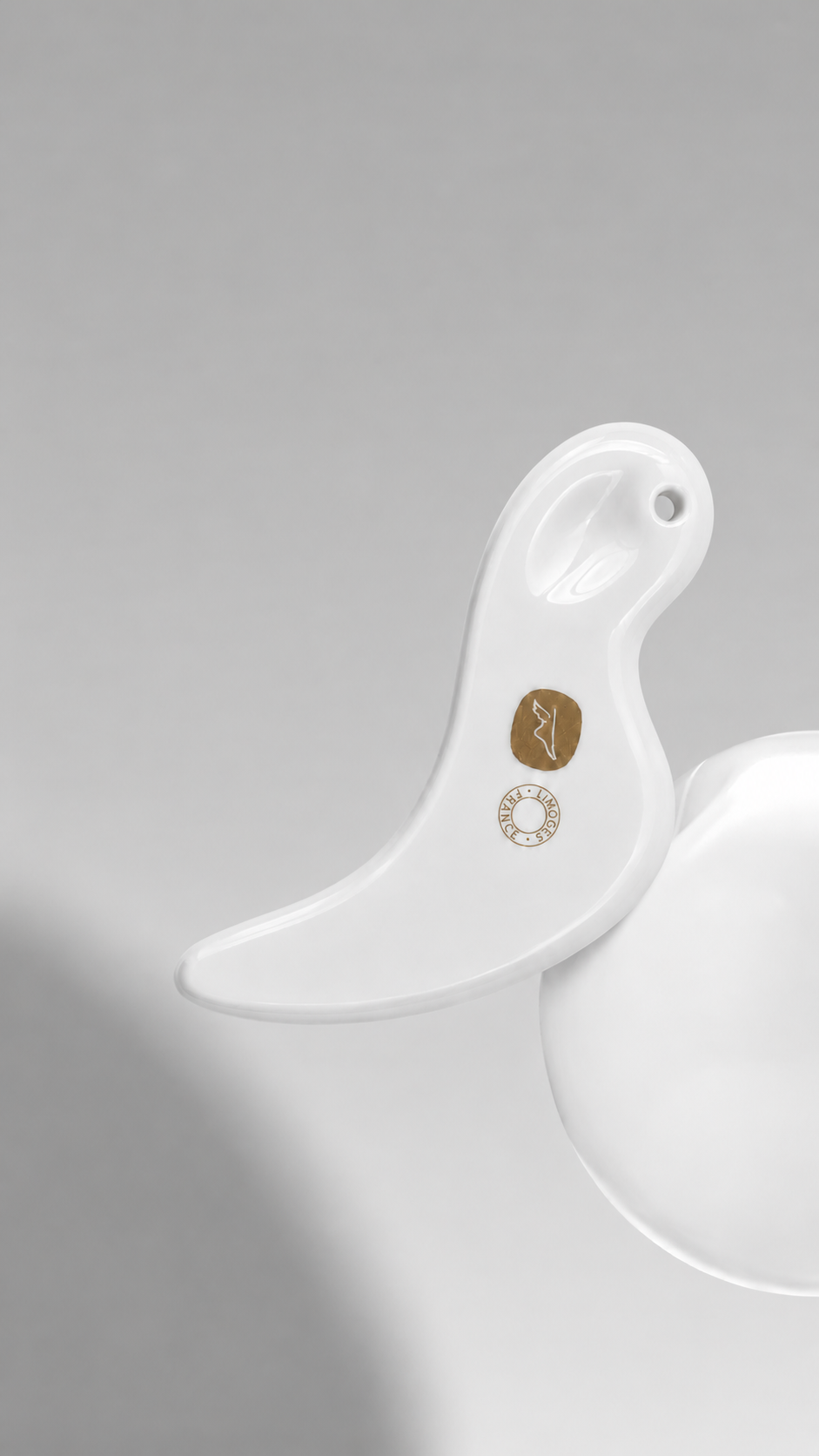 GUA SHA - massage des pieds et des mains